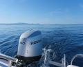 images/boats/Speedboat-blue-150/Speedboat-blue-150PS_03.jpg