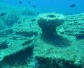images/trips/tour1/01_Wreck_of_Kosor.jpg