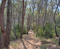 images/trips/tour4/03_Trails_of_Proizd.jpg